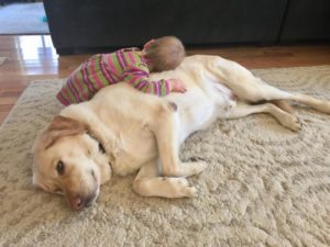 parenting lessons - Boston Moms Blog