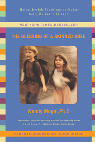 blessings of a skinned knee book cover