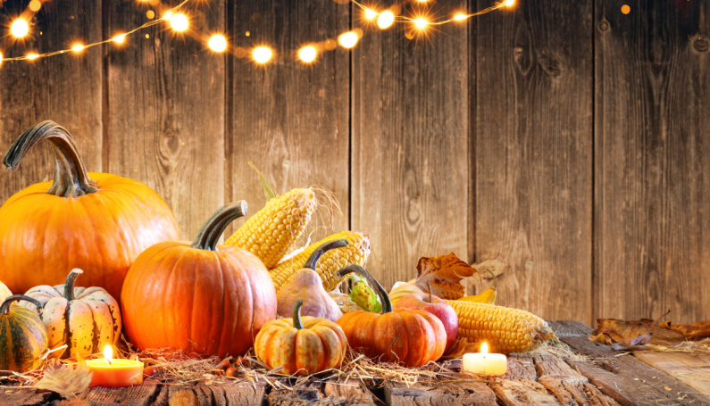 autumn pumpkins and gourds