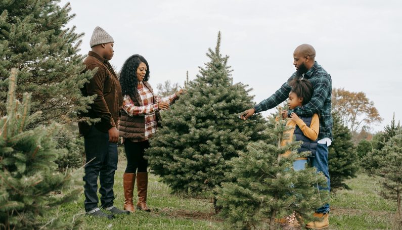 Two men, a woman, and a young girl looking at a tree at a Christmas tree farm. (Christmas tree farms near Boston)