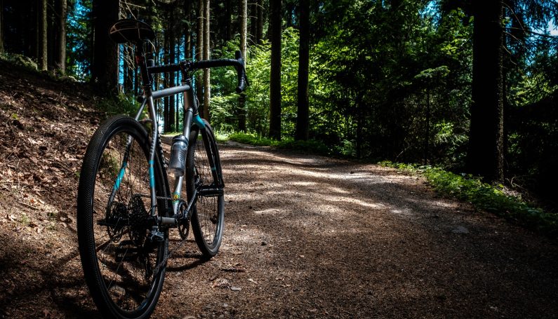 Massachusetts bike trails - Boston Moms Blog