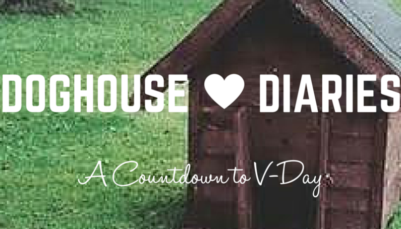 Doghouse Diaries :: A Countdown to V-Day - Boston Moms Blog