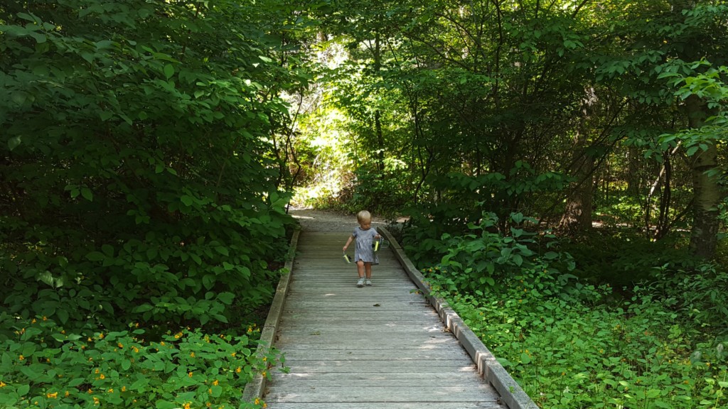 Boston museum memberships - Boston Moms Blog