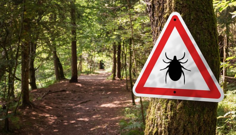 Infected ticks warning sign in a forest. (ticks and Lyme disease)