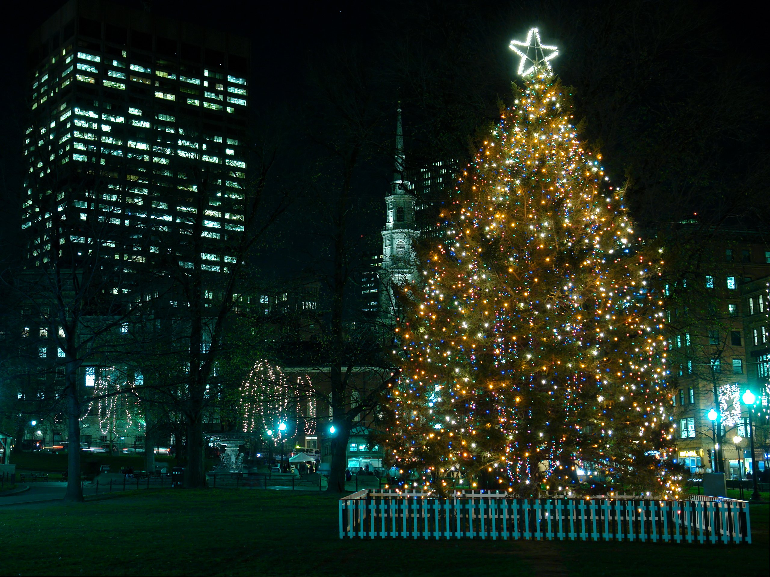 Boston's official Christmas Tree on Boston Common (holiday tree lightings Boston)