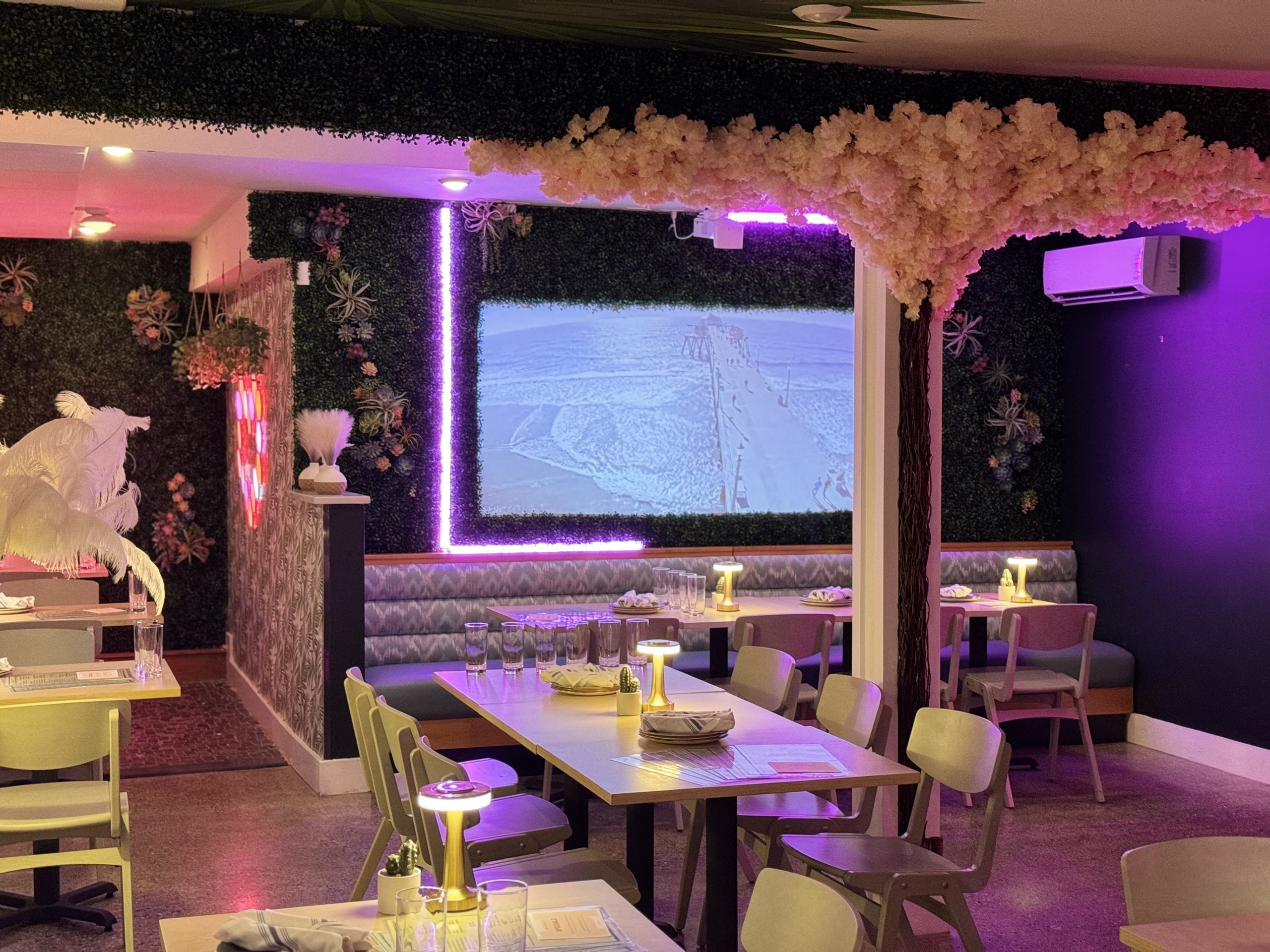 Bueno Malo date night restaurant in Andover (Boston)
