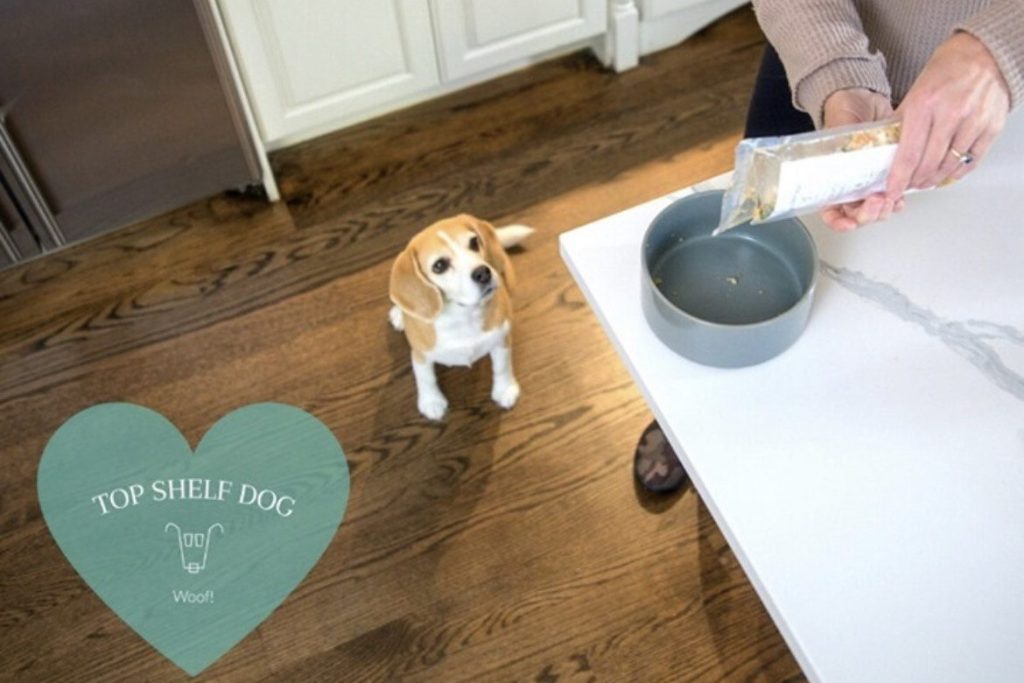 Top Shelf Dog Food - Boston Moms
