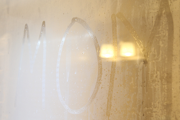 shower audience - Boston Moms Blog