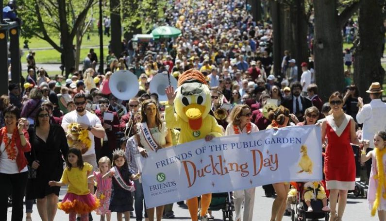 Mother's Day in Boston Duckling Day parade