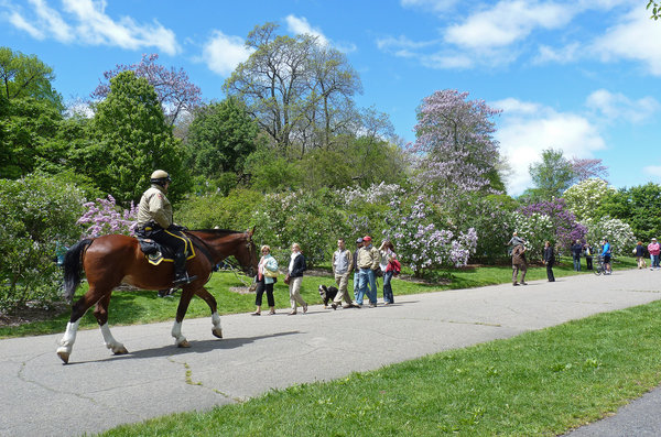 spring in Boston