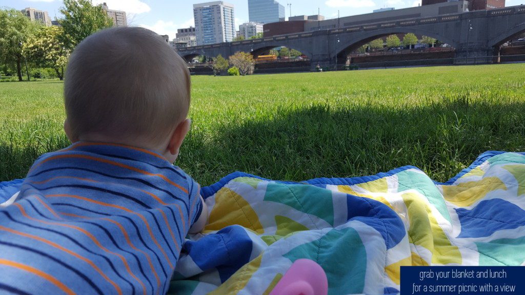 picnic