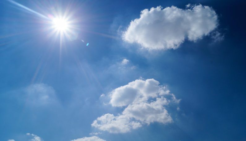 The Fly in the Sunblock - Boston Moms Blog