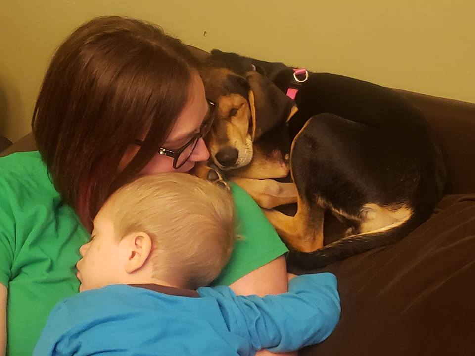getting a puppy - Boston Moms Blog