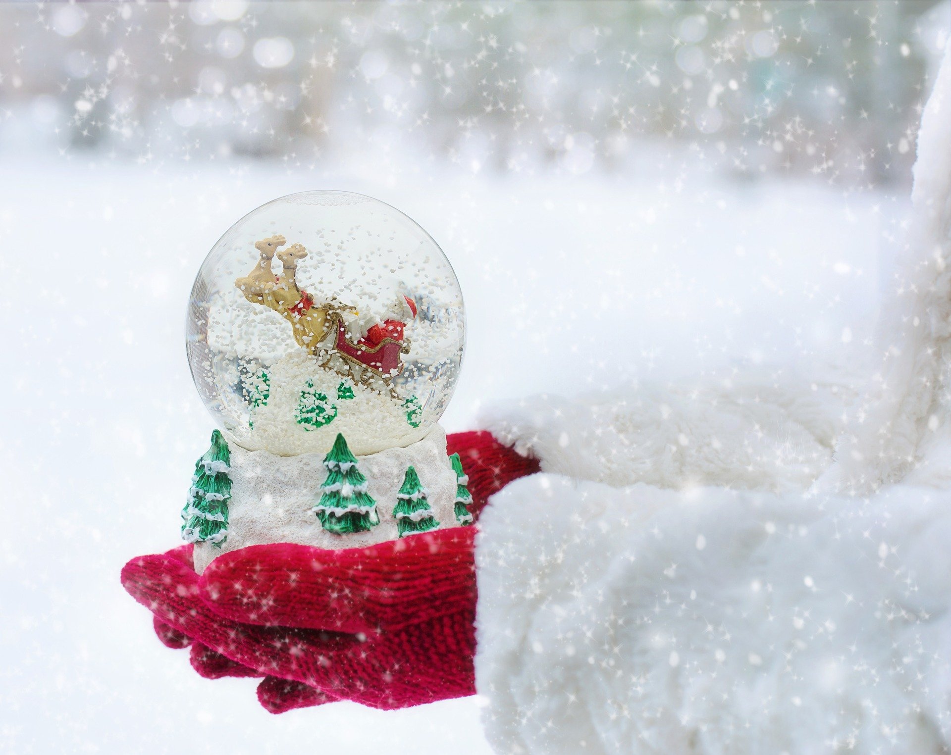 Elf on the Shelf snow globes - Boston Moms