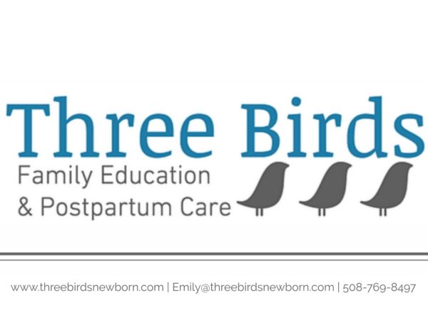 threebirds-600x463 threebirds-600x463